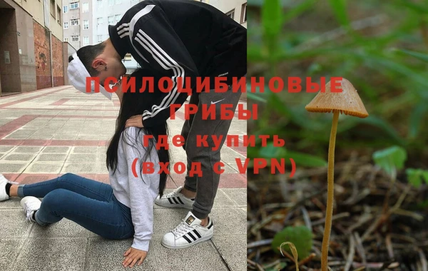 MDMA Горнозаводск