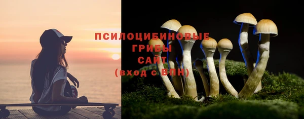 MDMA Горнозаводск