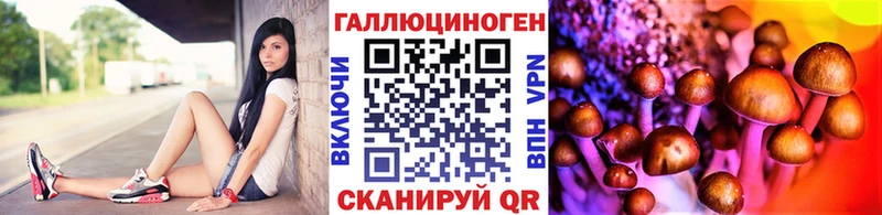 Псилоцибиновые грибы Psilocybine cubensis Купить Когалым