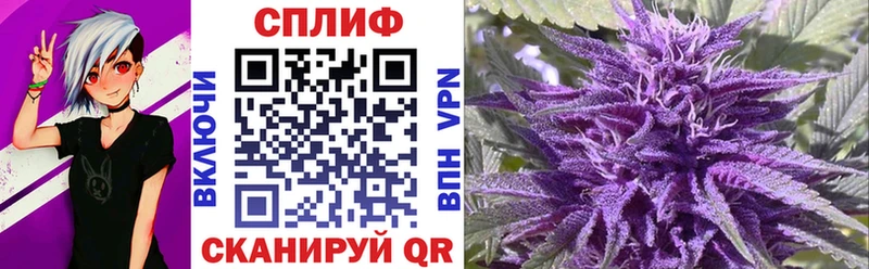 Купить где  Когалым  Канабис сатива 